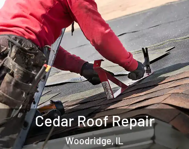  Cedar Roof Repair Woodridge, IL