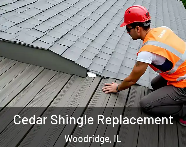  Cedar Shingle Replacement Woodridge, IL