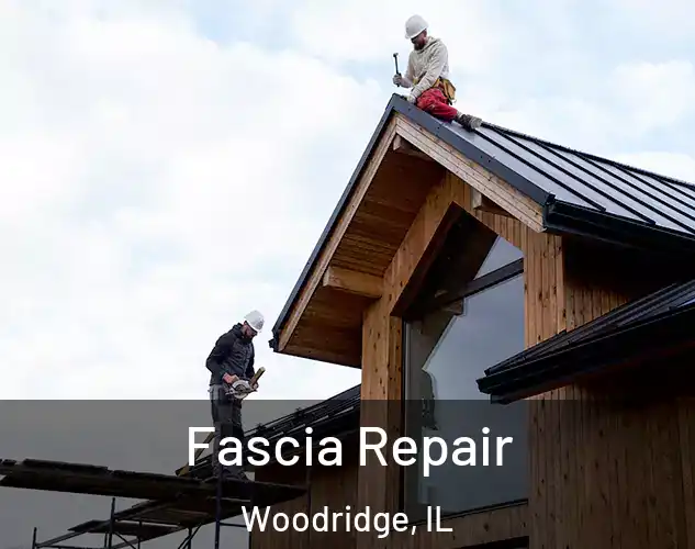 Fascia Repair Woodridge, IL