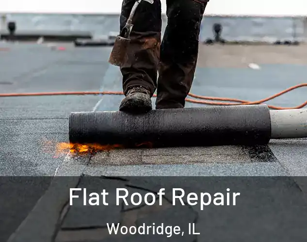  Flat Roof Repair Woodridge, IL