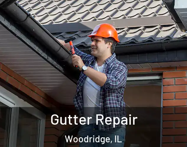  Gutter Repair Woodridge, IL