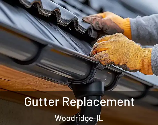  Gutter Replacement Woodridge, IL