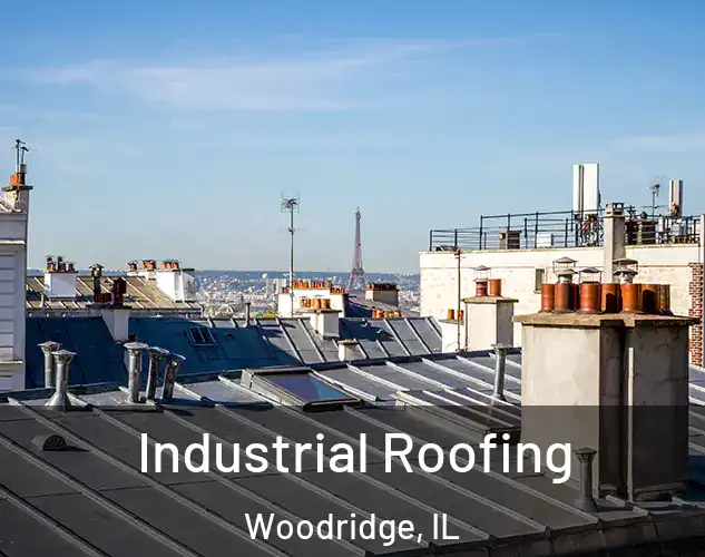  Industrial Roofing Woodridge, IL