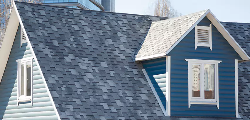 Shingle Roof Maintenance in Woodridge
