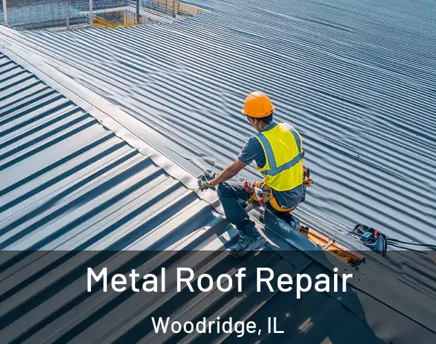  Metal Roof Repair Woodridge, IL