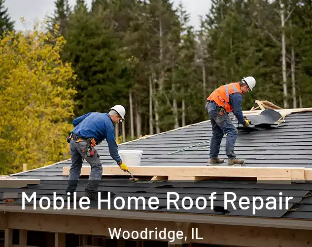  Mobile Home Roof Repair Woodridge, IL