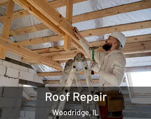  Roof Repair Woodridge, IL