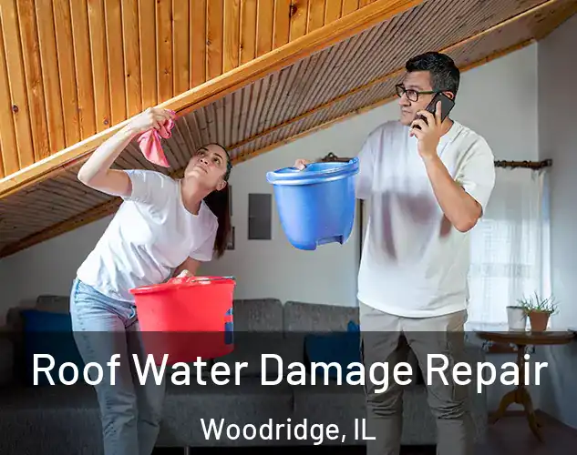  Roof Water Damage Repair Woodridge, IL