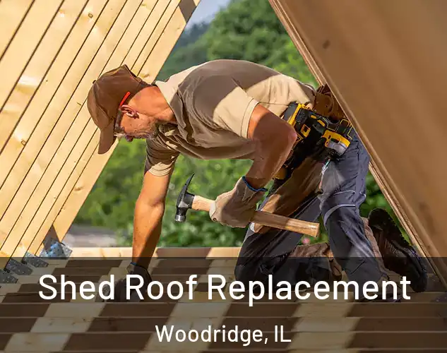  Shed Roof Replacement Woodridge, IL