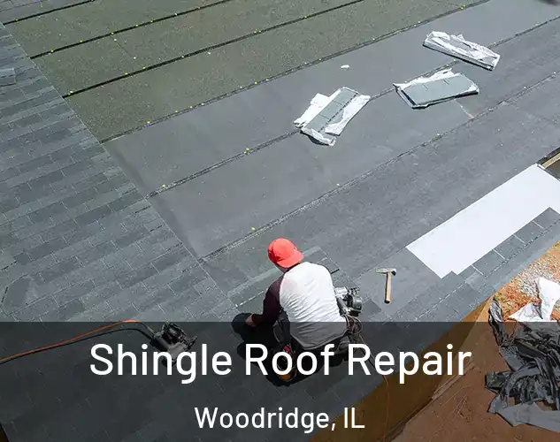  Shingle Roof Repair Woodridge, IL