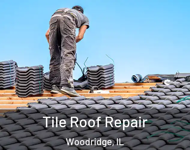  Tile Roof Repair Woodridge, IL