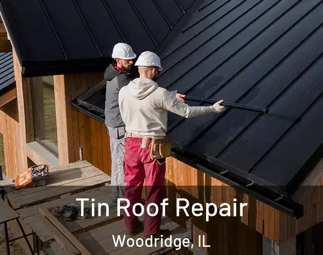  Tin Roof Repair Woodridge, IL